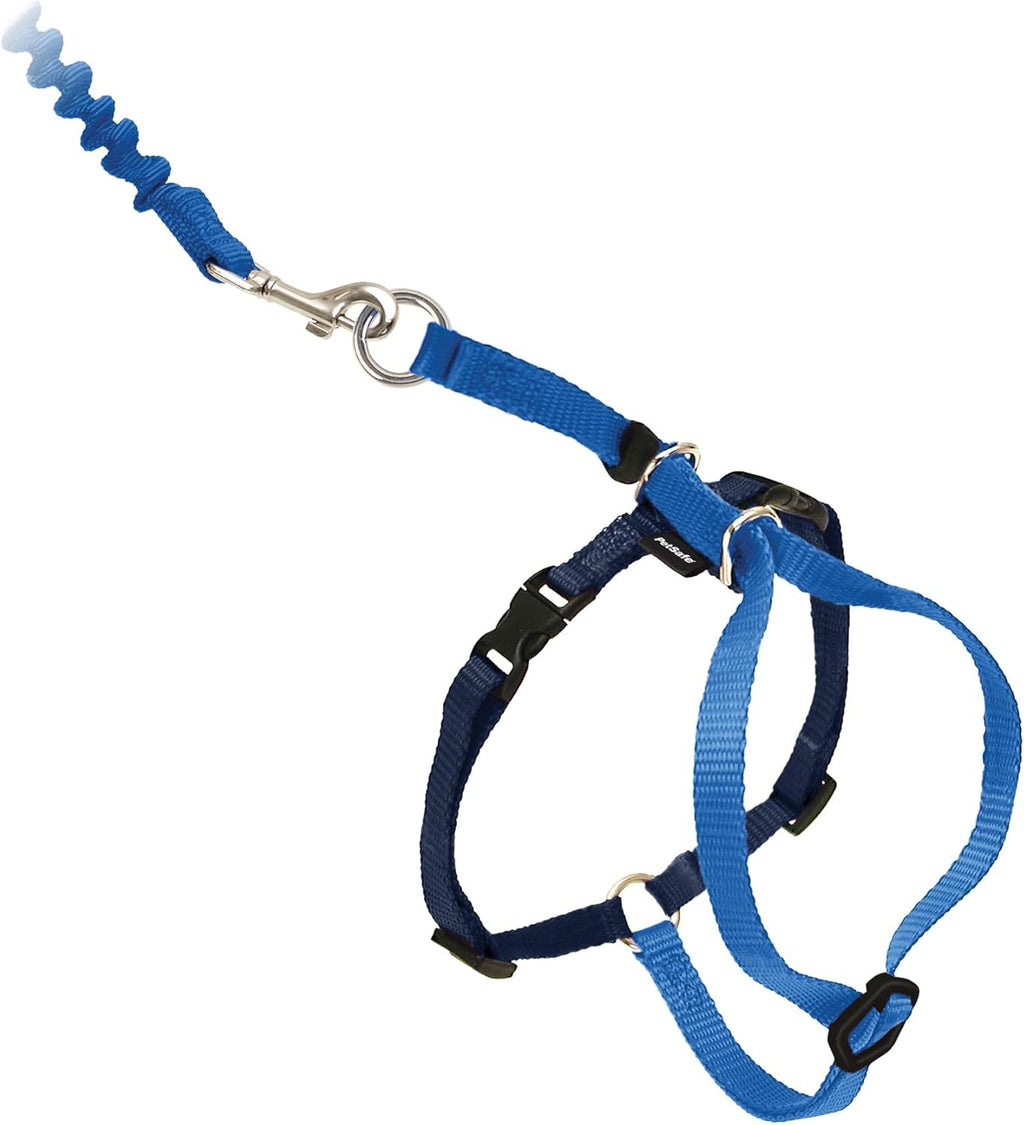 PetSafe Come with Me Kitty Harness and Bungee Leash Adjustable, Lightweight Harness for Cats Medium, Lilac - Image 10