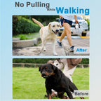 Chrome plated stainless steel dog pinch collar with rubber caps close up