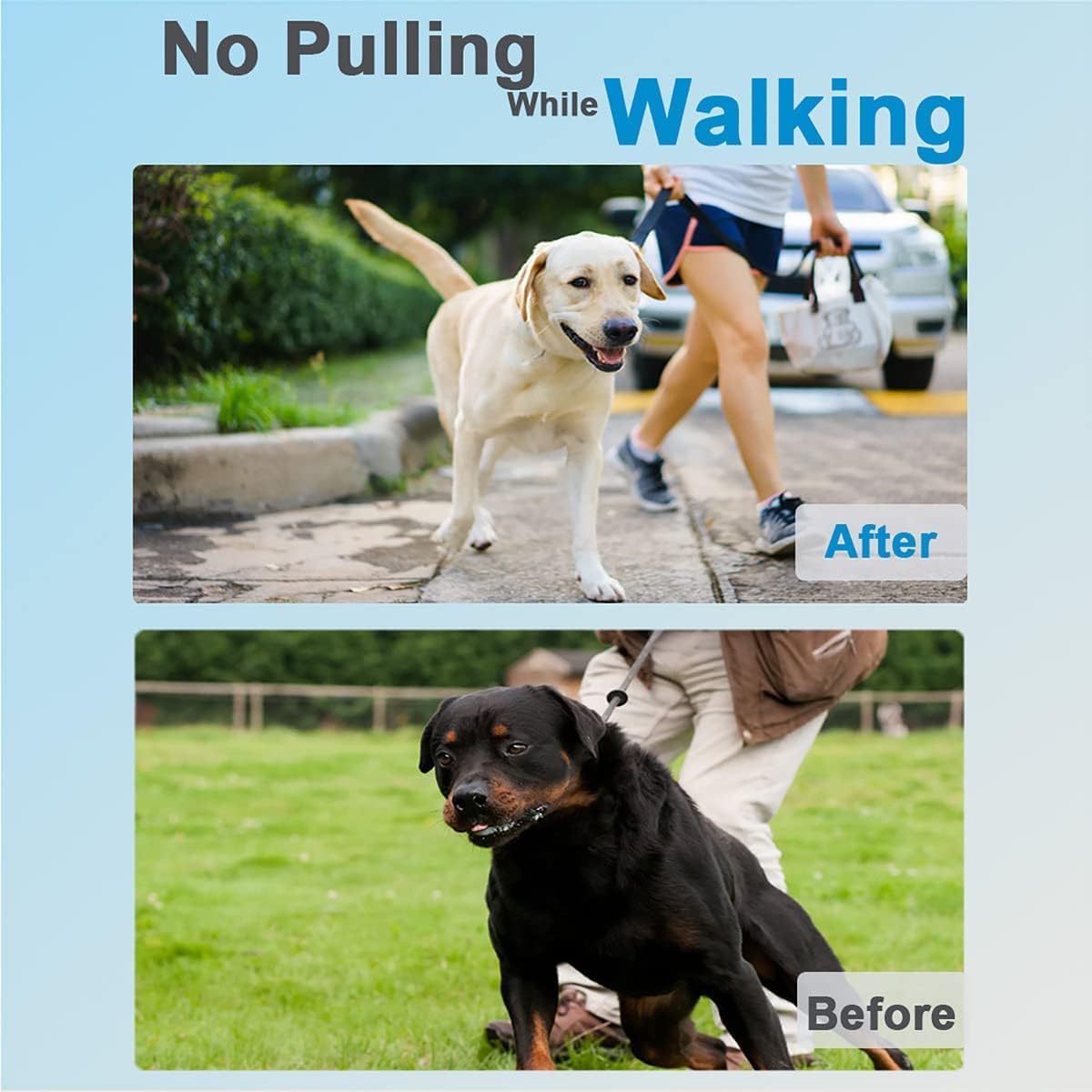 Chrome plated stainless steel dog pinch collar with rubber caps close up