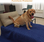 Trusupetta washable puppy pads inside a whelping box
