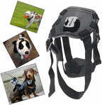 Close up of quick release buckle on Wogerplu pet harness