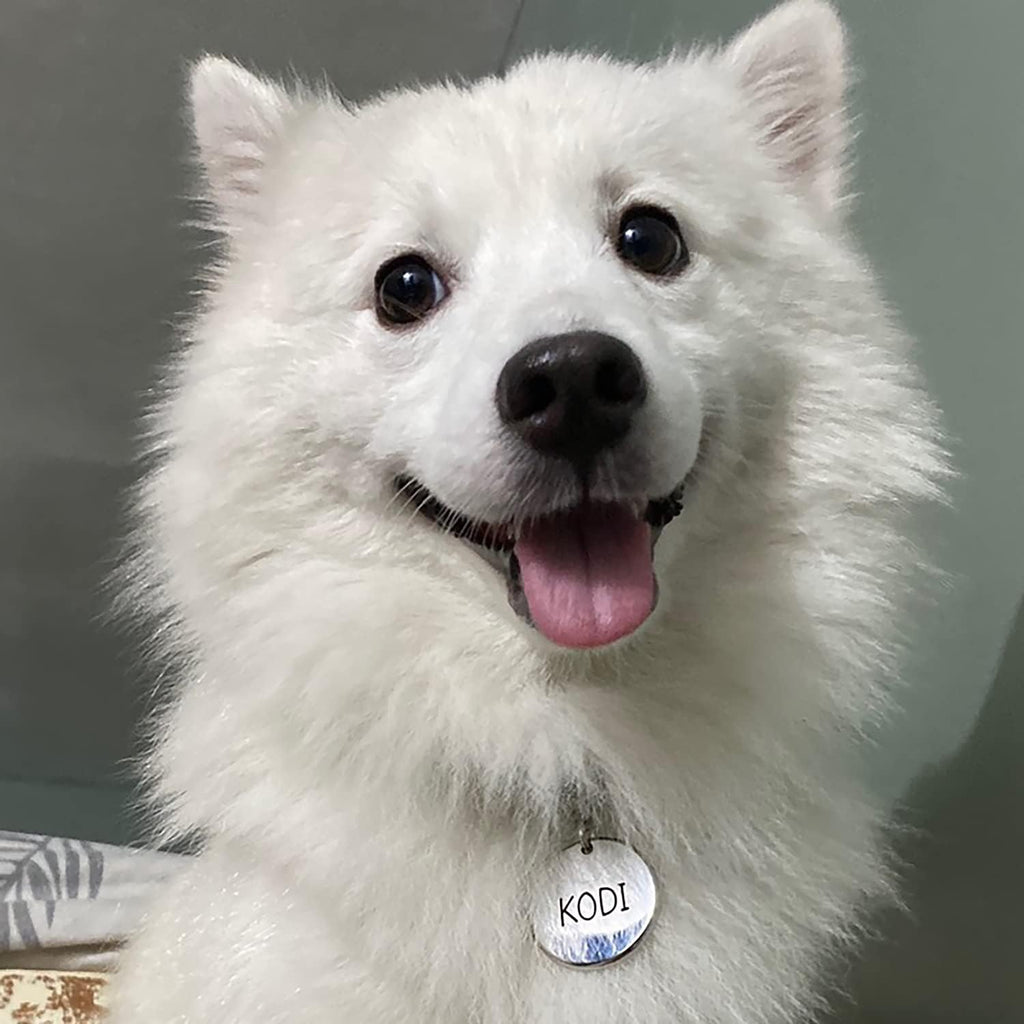 ADOGINTHEHOUSE laser engraved surgical steel dog tag for outdoor pets