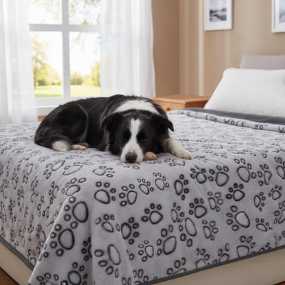 Stuffed(R) Premium Soft Dog Blanket Washable, 40"x32" Cat Blanket for Indoor Cats Large Medium Small Dog Puppy Essentials (Grey) - Image 12