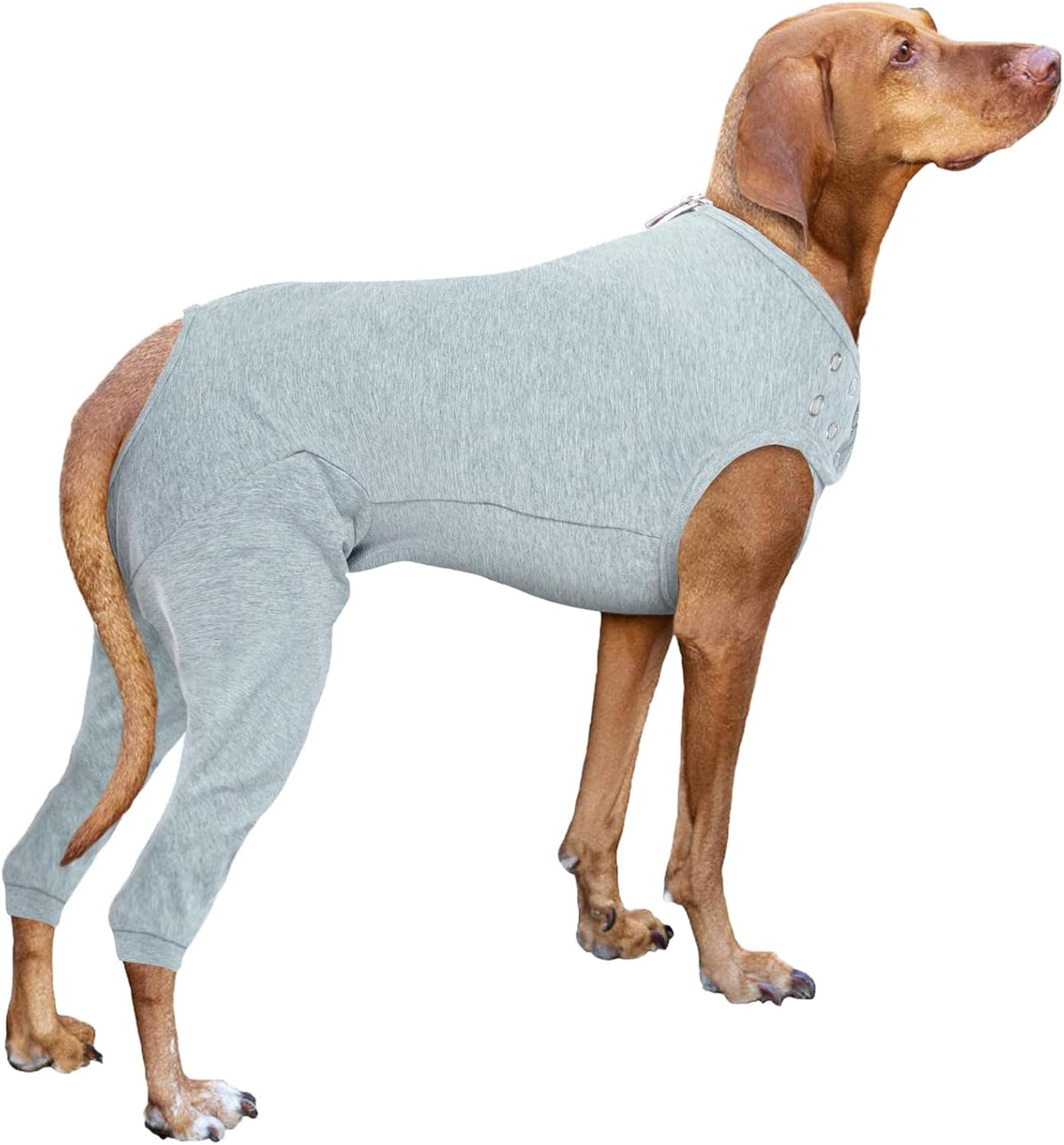 Nanaki Dog Wound Care Shirt, Dog Leg Sleeve To Stop Licking Rear Leg And Abdomen, Doggy Surgery Suit Female Spay,Doggy Onesie For Surgery Female Male, Pet Surgical Recovery Suit Pet Wound Heal Clothes - Image 11