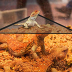 Mytagos reptile lounger displayed with suction cups