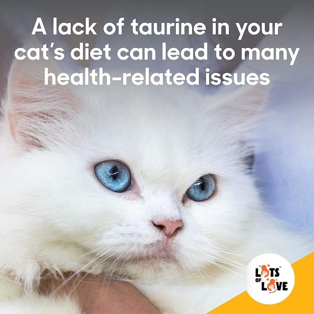 High quality feline cardiac health supplement bottle close up view.