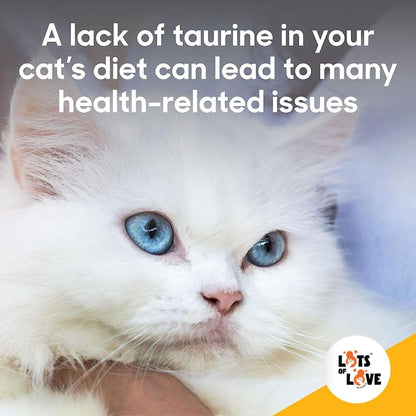 High quality feline cardiac health supplement bottle close up view.
