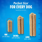 Imported USA pet care product packaging for DentaLife ActivFresh daily treats.