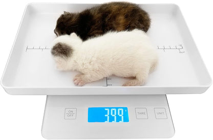 Mindpet-Med digital small animal scale front view showcasing the white tray with growth measurement markings