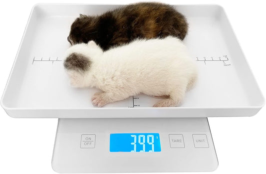 Mindpet-Med digital small animal scale front view showcasing the white tray with growth measurement markings