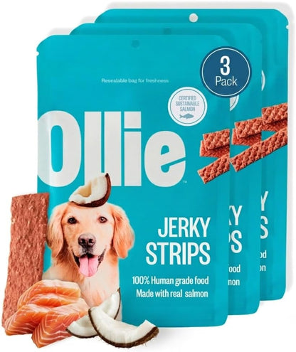Group of healthy dog snacks including Ollie beef jerky