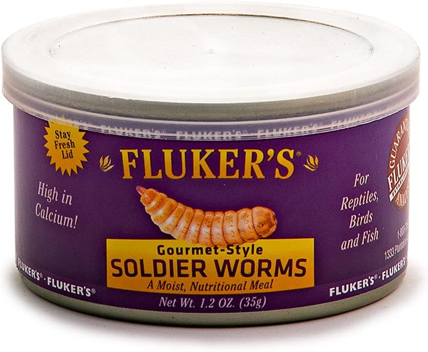 Moisture rich whole mealworms inside the can