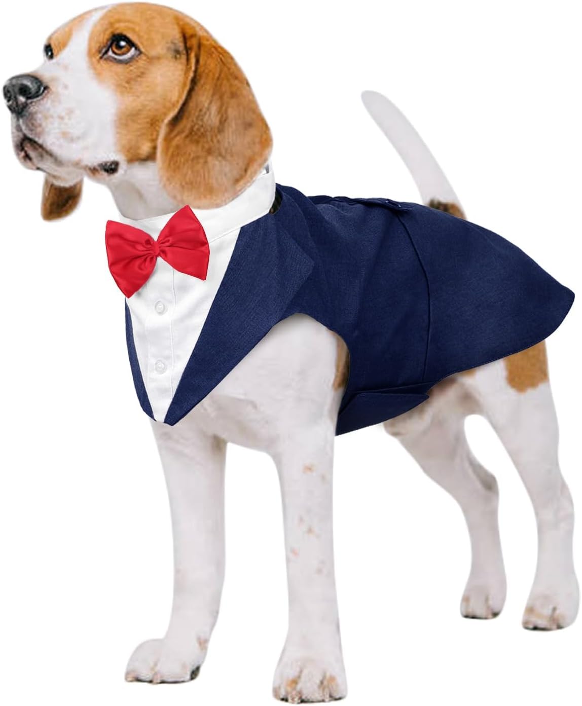 Kuoser Independence Day Dog Tuxedo Dog Suit and Bandana Set, 4Th of July Dog Costume American Flag Dog Outfit with Bow Tie for Large Medium Small Dogs Golden Retriever Samo Bulldogs, L - Image 14