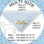 Small dog wearing blue birthday bandana party accessory