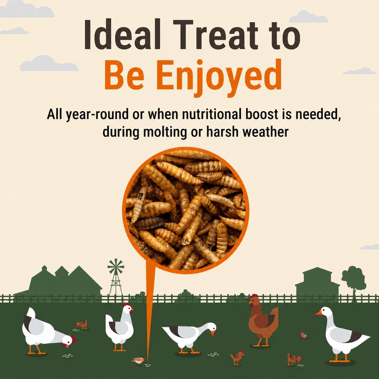 Nutrient rich non-GMO larvae for poultry gut health