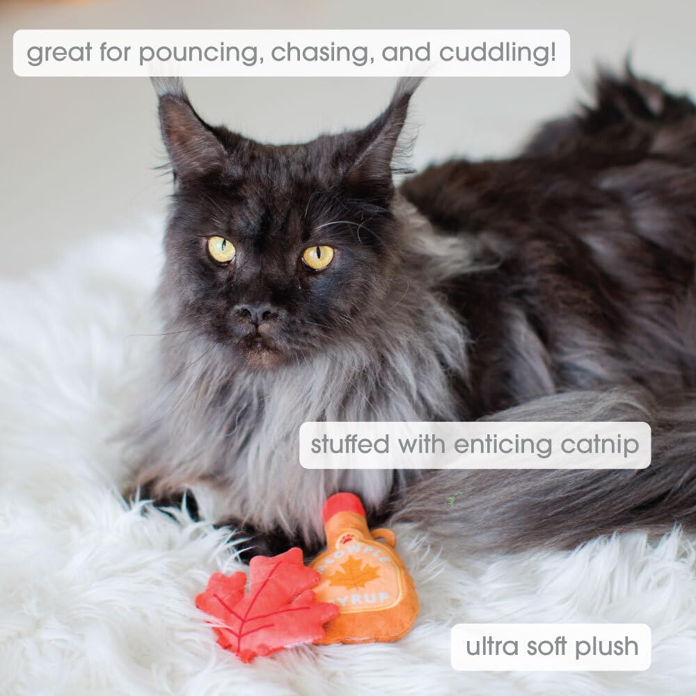 Interactive autumn themed catnip plush toys for indoor kittens and adult cats.