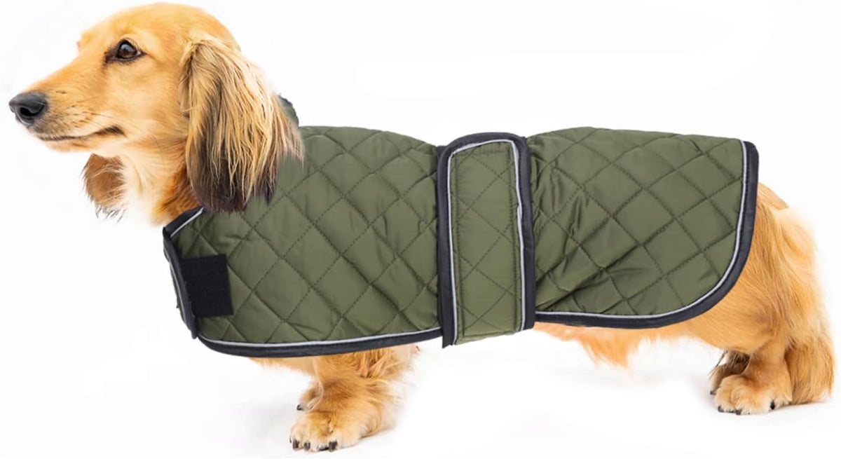 Geyecete dog coat packaging and branded labels
