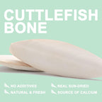 Mivofun cuttlebone pack of two pieces arranged side by side