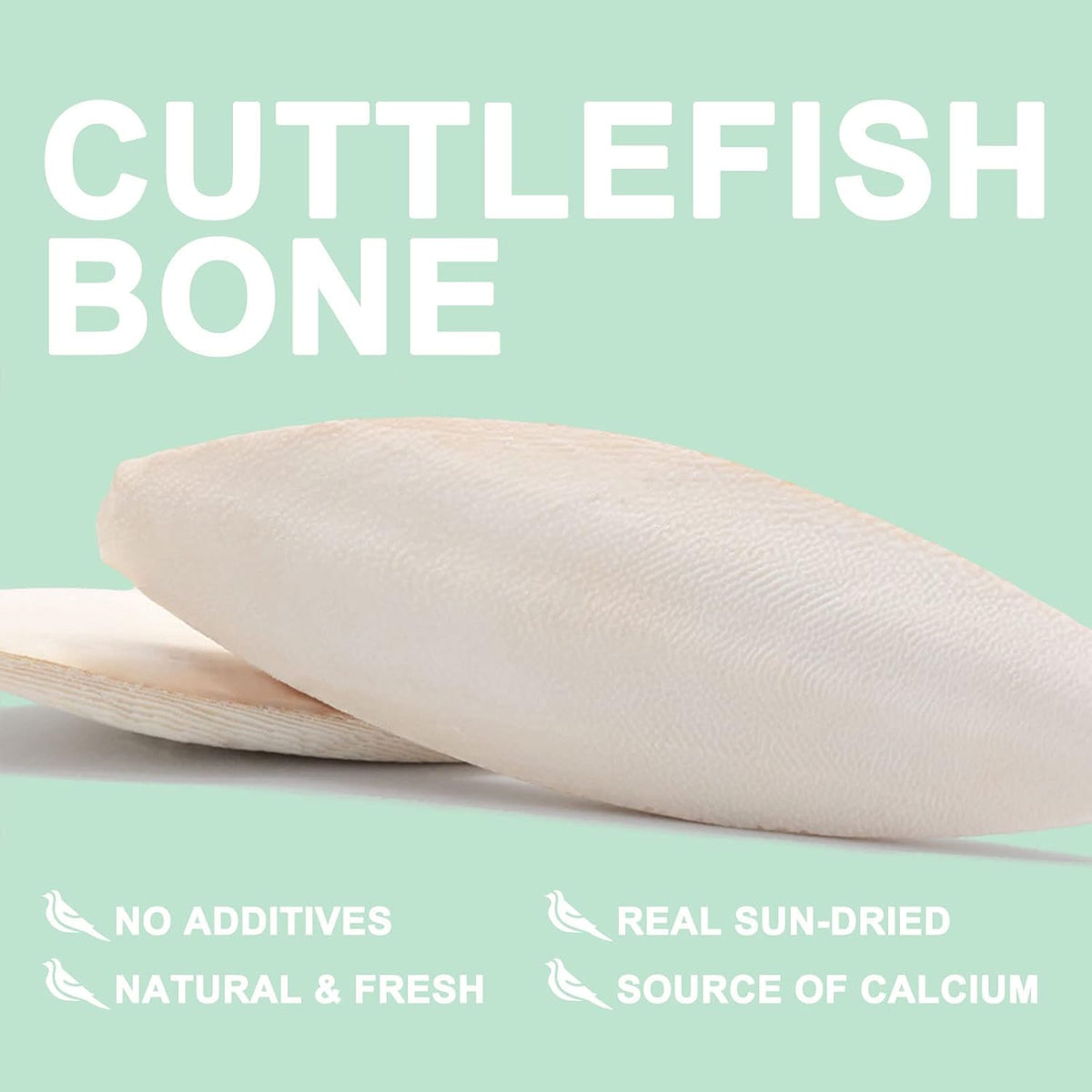 Mivofun cuttlebone pack of two pieces arranged side by side