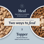 Instinct pet food high protein raw meals for adult cats twenty four ounce bag