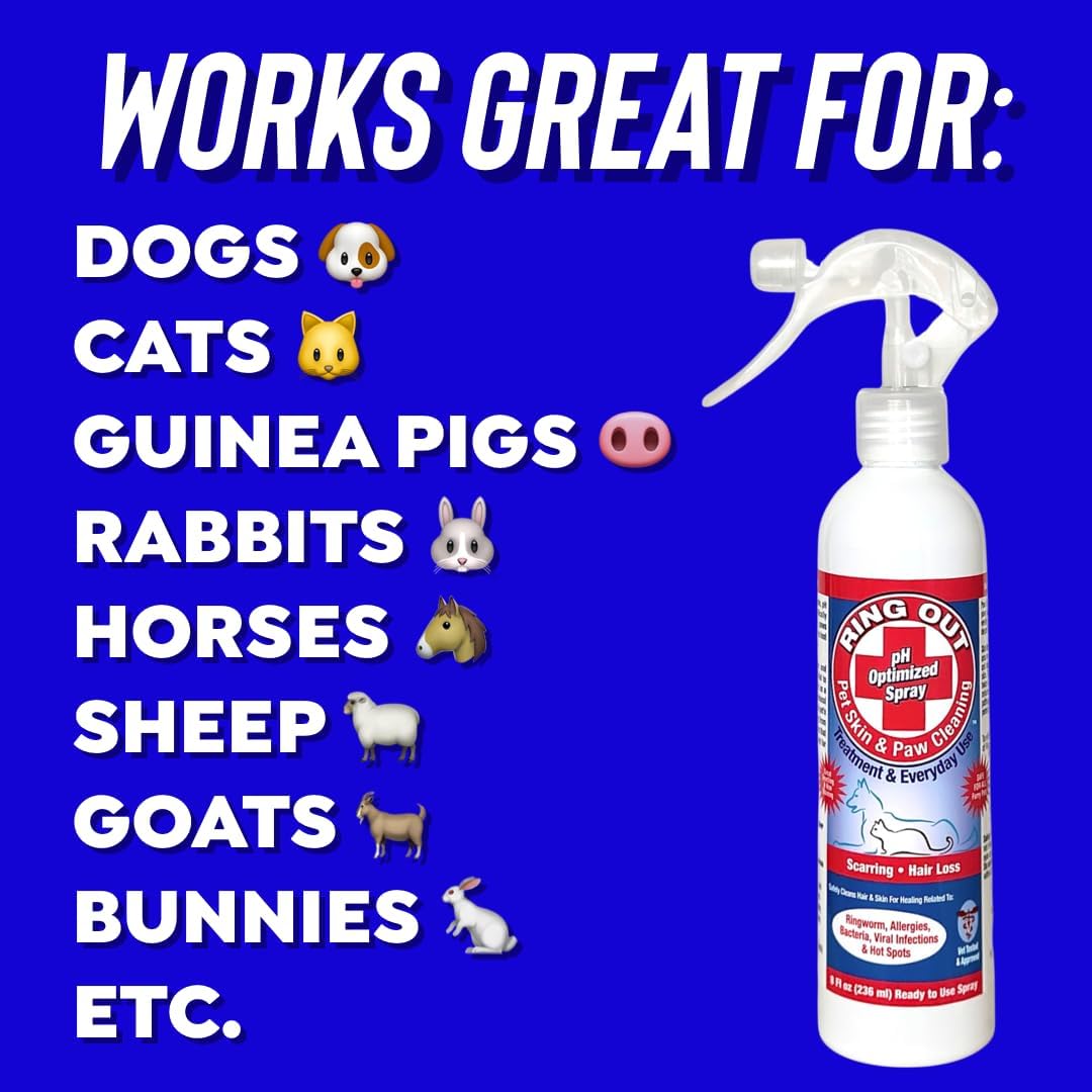 Safe ringworm treatment spray being applied to a guinea pig coat.