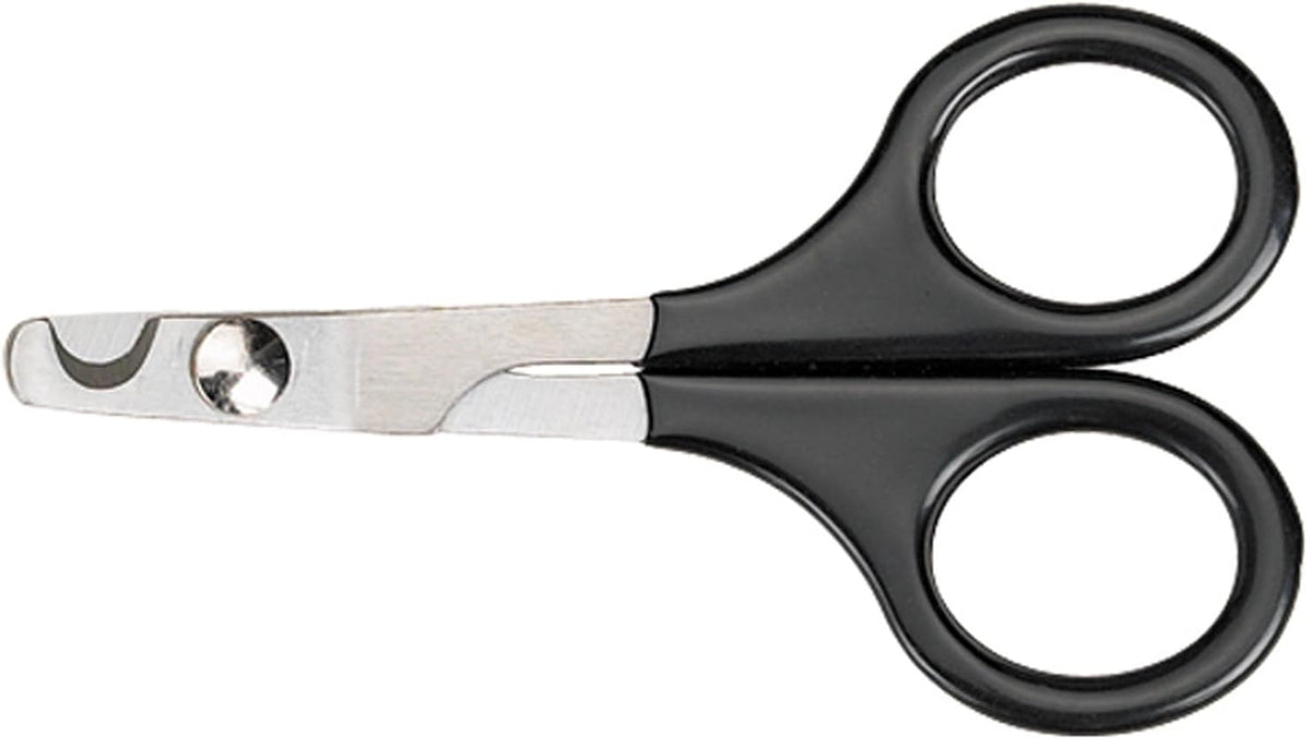 Close up of circular notched cutting blade and polished stainless steel finish
