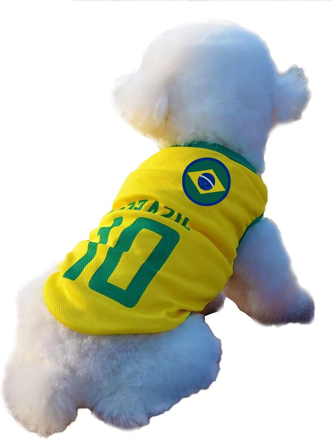 Back view of dog wearing soccer jersey with number 10