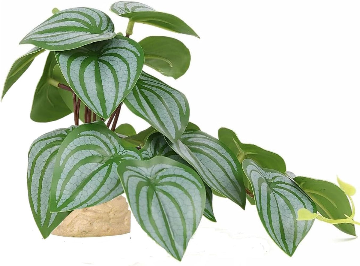 Reptile Plants for Terrarium Decor,Amphibian Habitat Decor,Artificial Plants for Gecko Chameleon Snake Tortoise Tank Accessories with Base (Monstera deliciosa) - Image 9