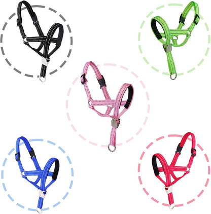 Close up of safety clip and reflective dog collar