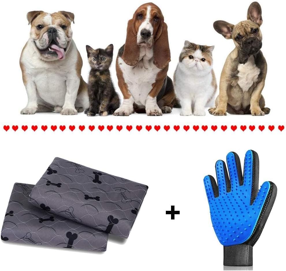 Pet owner using JdPet grooming gloves on dog