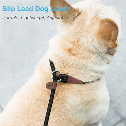 MayPaw dog slip loop leash being used for behavioral obedience walking