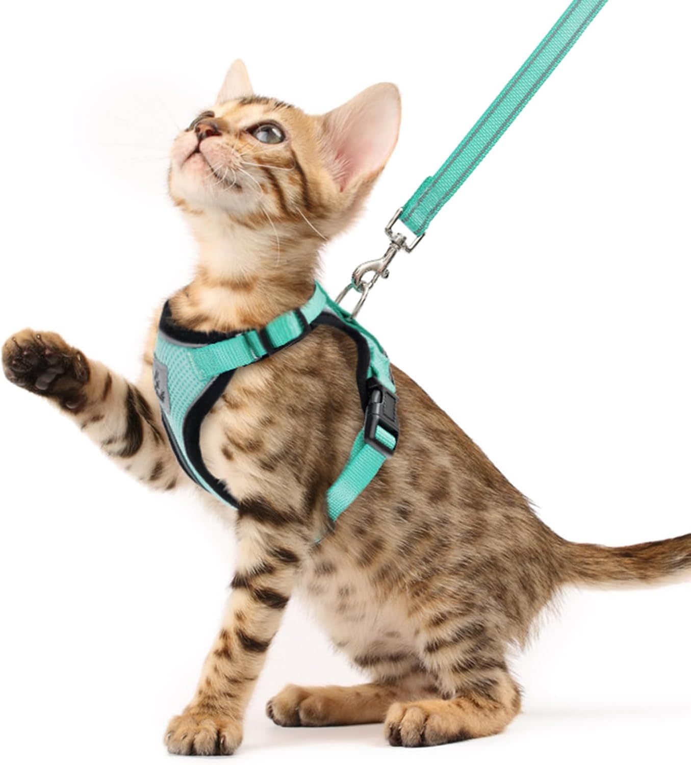PUPTECK Cat Harness and Leash Set Escape Proof Reflective Cat Walking Harness Adjustable Soft Breathable Mesh Vest for Small Pets, Aquamarine, S - Image 12