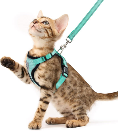 PUPTECK Cat Harness and Leash Set Escape Proof Reflective Cat Walking Harness Adjustable Soft Breathable Mesh Vest for Small Pets, Aquamarine, S - Image 12
