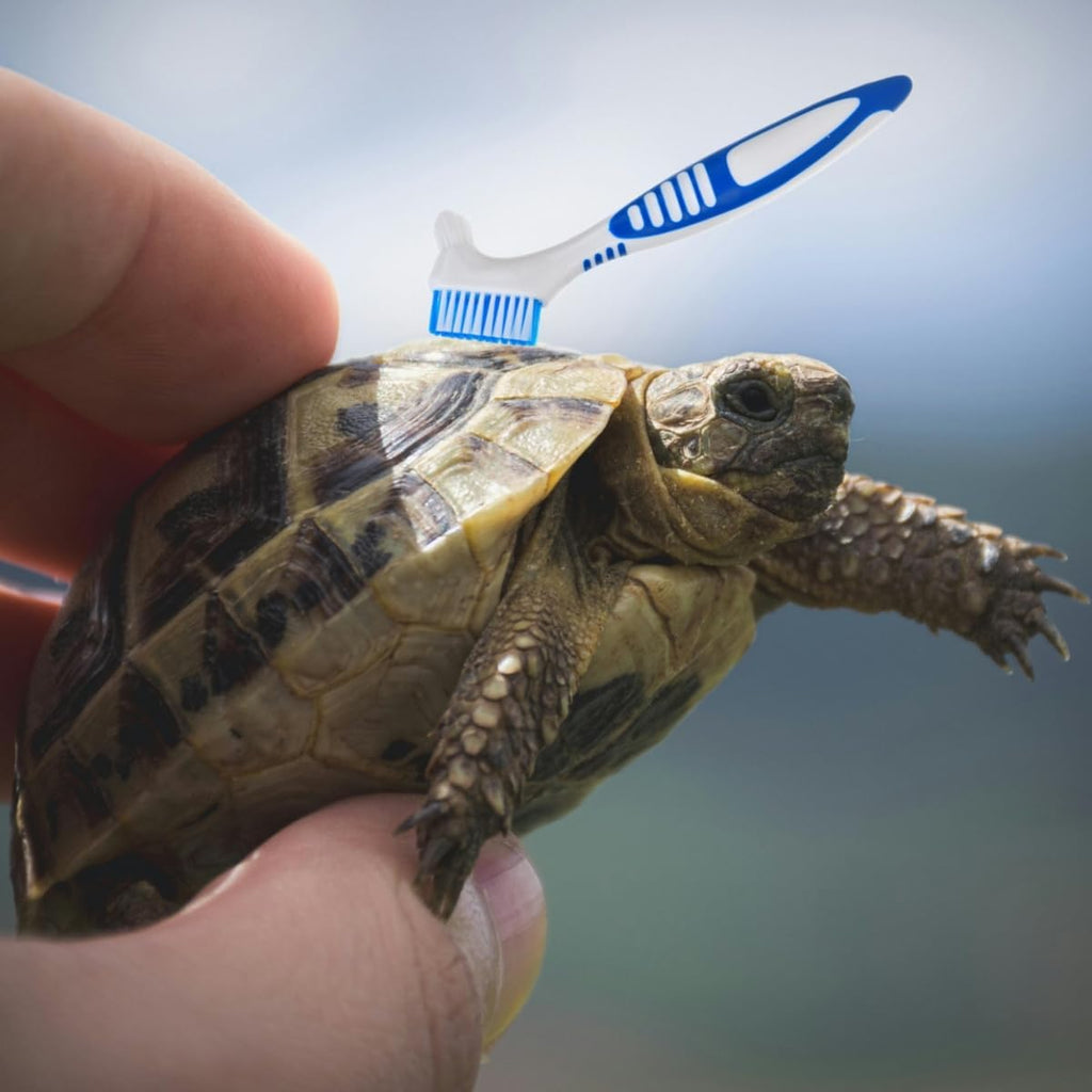 Mini double head aquatic turtle cleaning tool with ergonomic non slip handle
