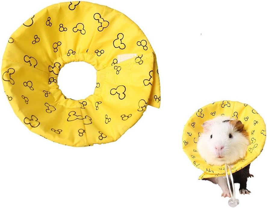 Petall recovery collar hook and loop closure detail for small pets