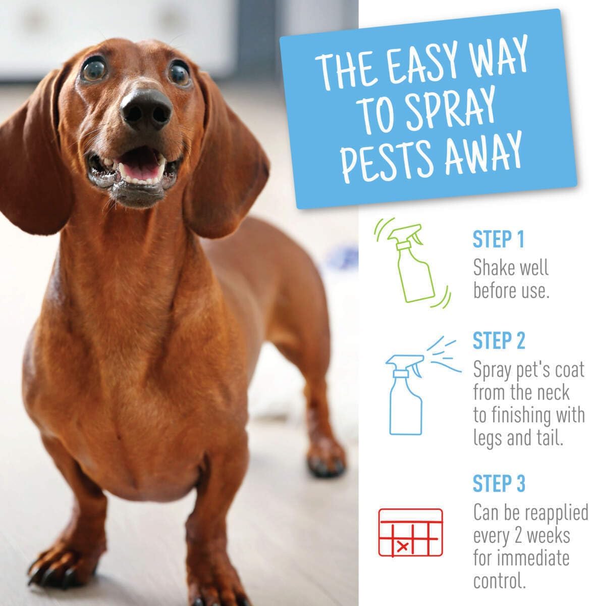 Back label of Adams Flea and Tick spray with usage instructions