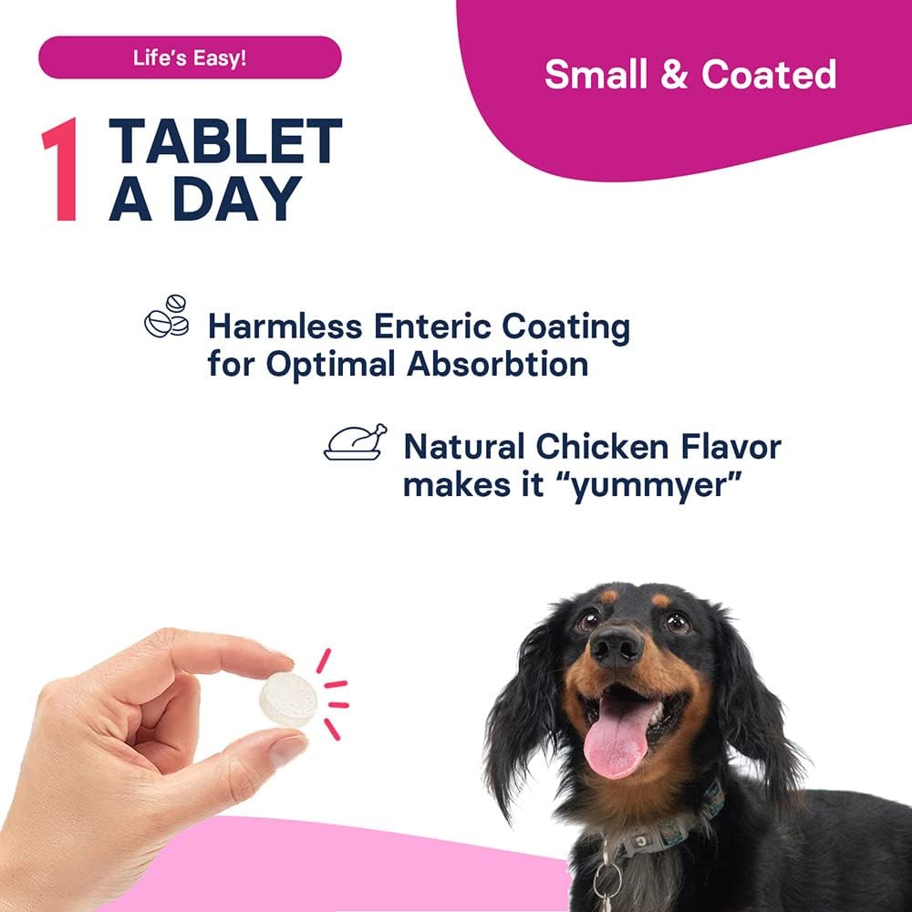 Generic SAM-e Liver and Brain Health Supplement for Small Dogs & Cats, S-aDENOSYLmethionine (Same), 60 Coated Tablets - Image 4