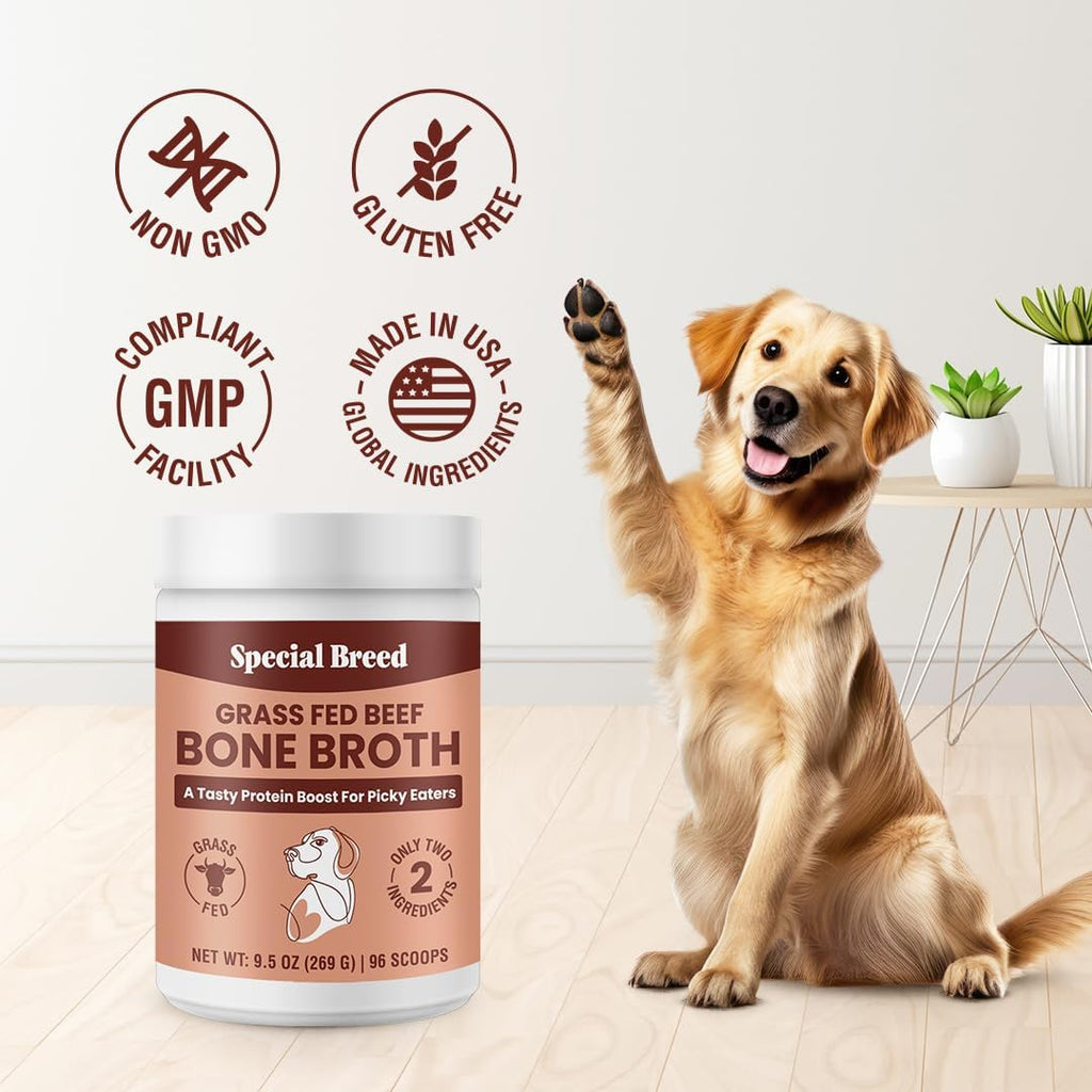 Premium dog and cat collagen supplement for immune support.