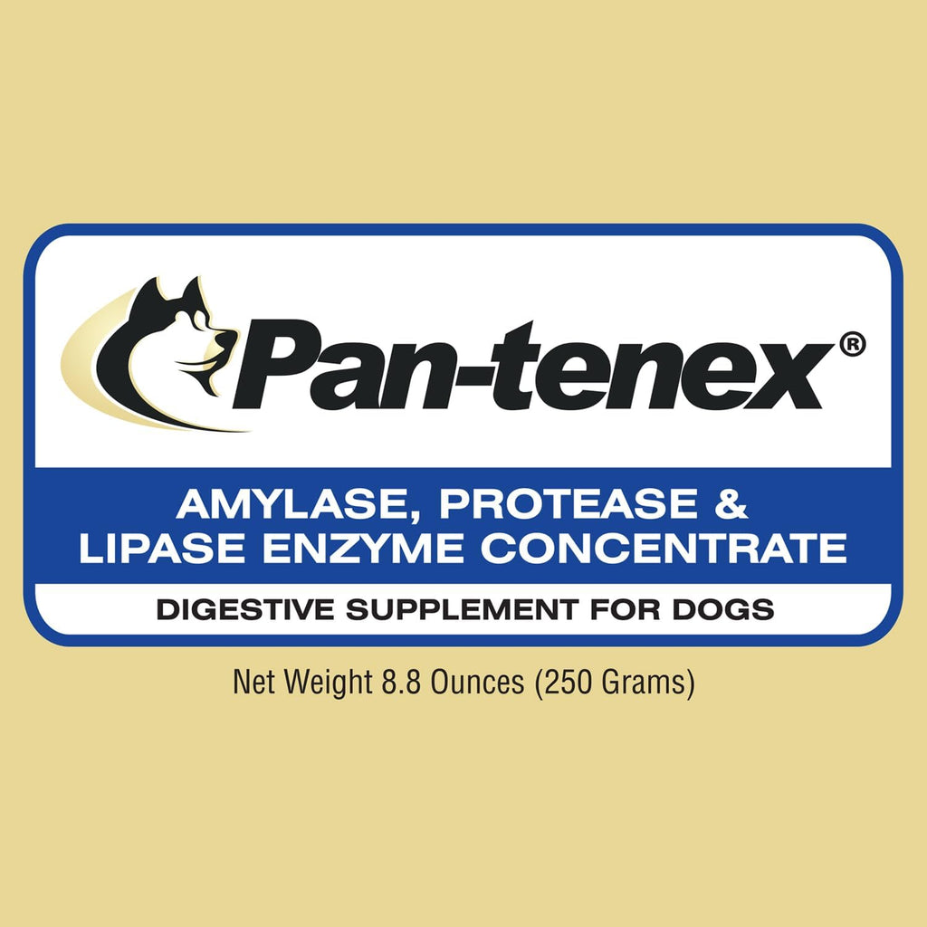 Pan-tenex 10x Digestive Enzymes powder texture