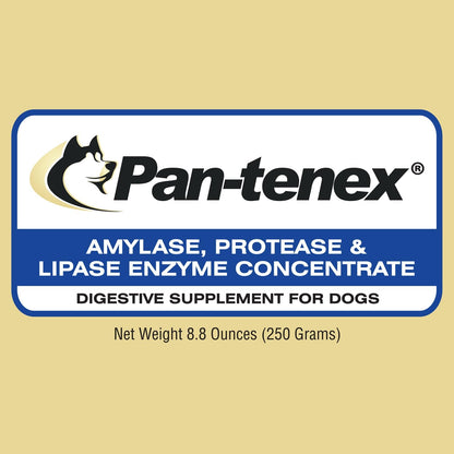 Pan-tenex 10x Digestive Enzymes powder texture