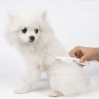 Different sizes of LoveBB stainless steel lice combs for pets