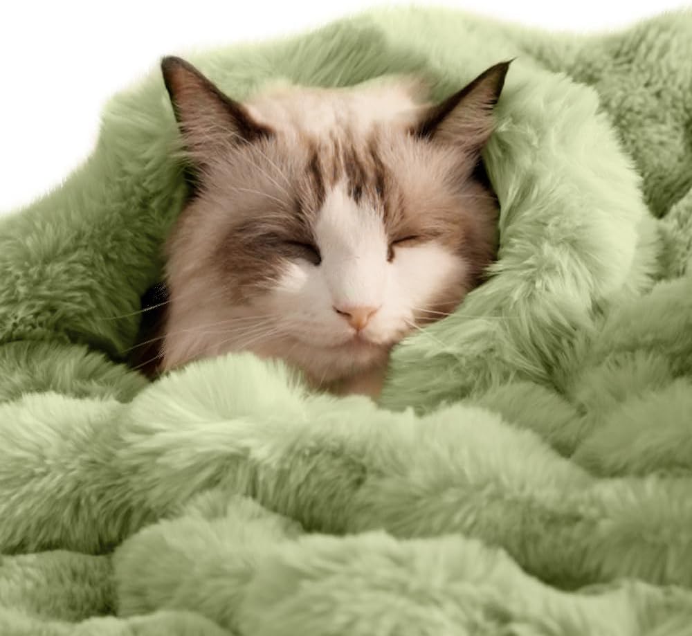 SOMAHE Cat Blanket, Reversible Sherpa & Bubble Fleece Pet Throw, Ultra-Soft Plush for Indoor Cats, Machine Washable, Anti-Static, Warm & Cozy, 22"x18" Inch White - Image 14