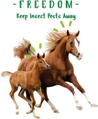 Manna Pro horse care bucket displaying detailed instructions for daily feeding directions