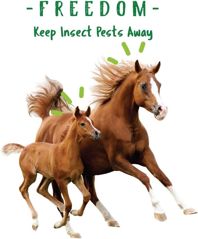 Manna Pro horse care bucket displaying detailed instructions for daily feeding directions