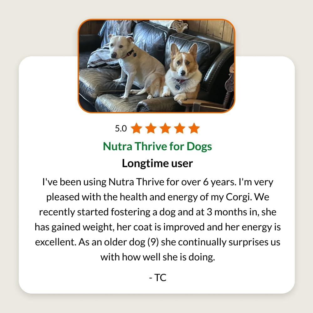 Authentic USA imported Ultimate Pet Nutrition canine wellness product visual