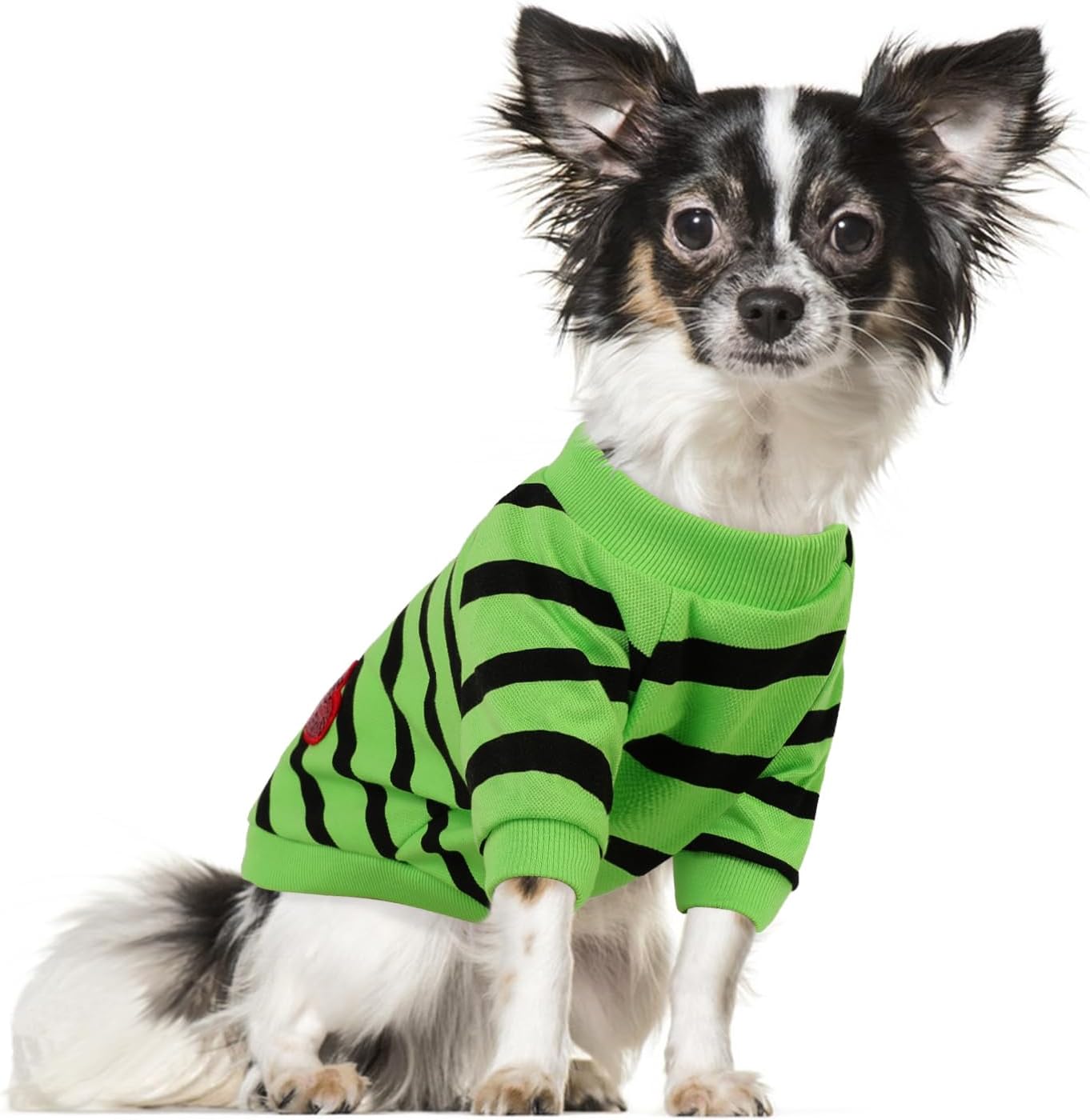 Folded Preferhouse striped pet shirt ready for use