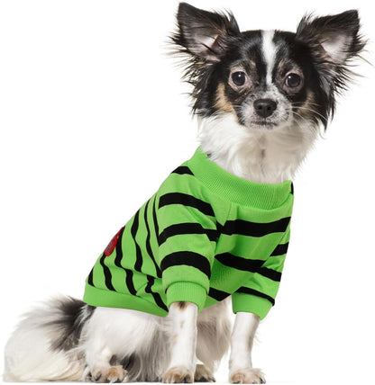 Folded Preferhouse striped pet shirt ready for use