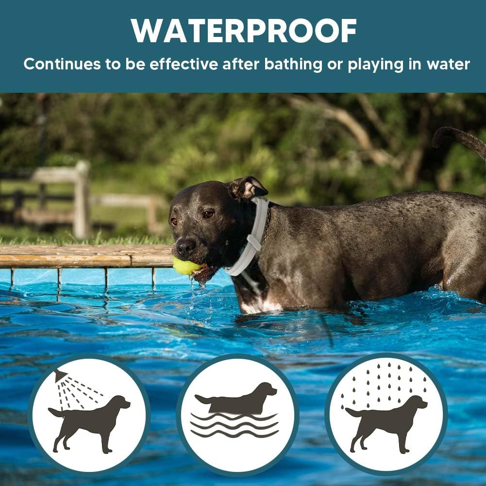 Natural pest protection collar for medium and large dogs