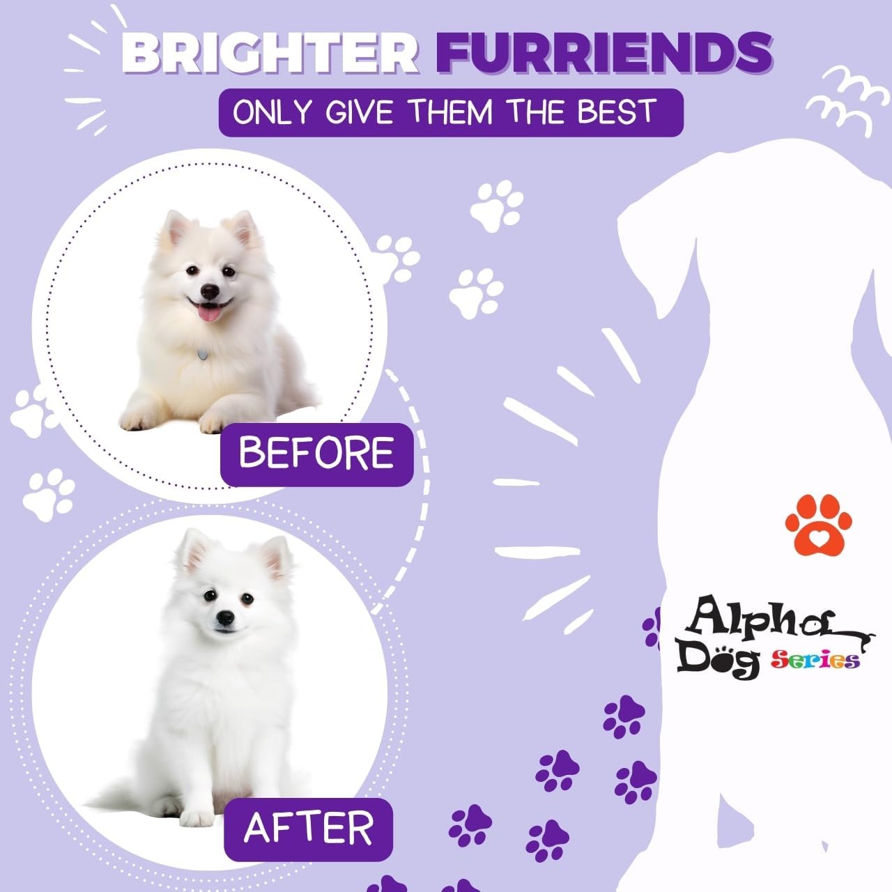 Bright White Grooming Natural Dog Shampoo and Conditioner with Aloe Vera, pH balanced Shampoo for Dogs, Tear-Free, Moisturizing Dog Shampoo for Sensitive Skin - 26.4 Oz - Image 6