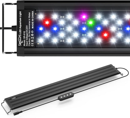 Detailed view of LED chip arrangement on Seaoura light